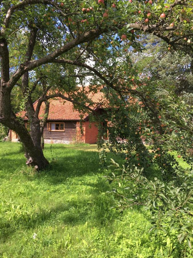 Mamrowisko Villa Węgorzewo Eksteriør bilde