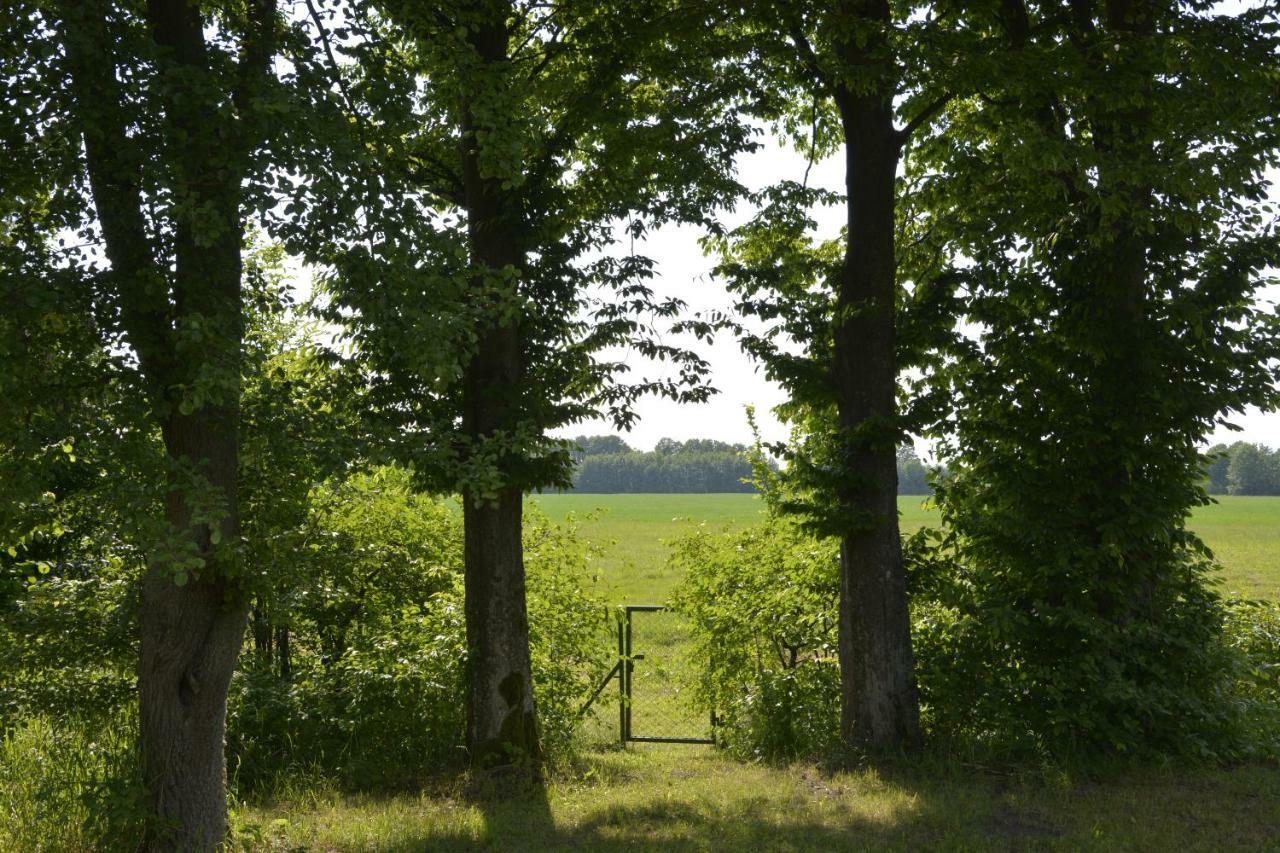 Mamrowisko Villa Węgorzewo Eksteriør bilde